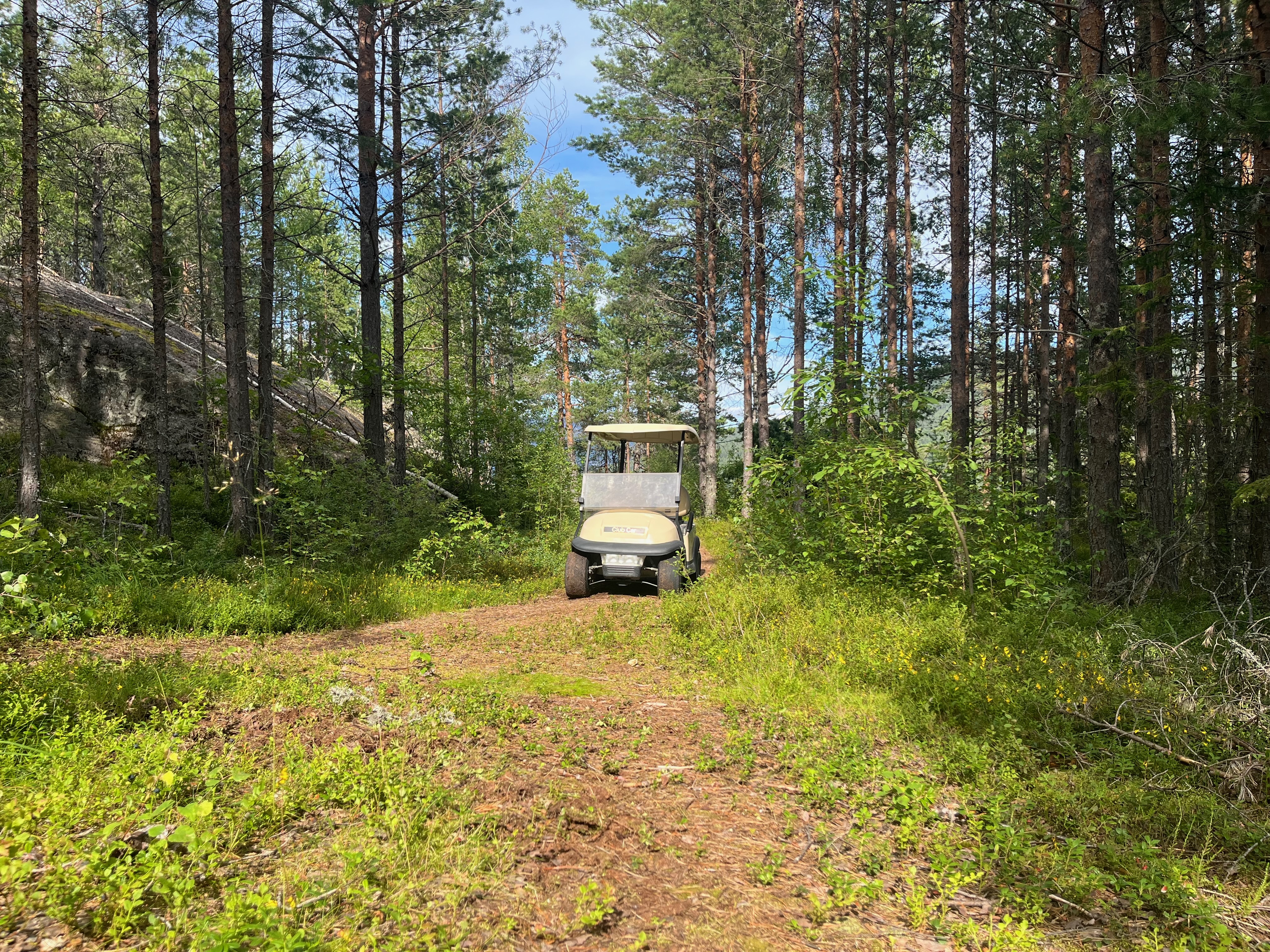 Golfkarretje op bospad